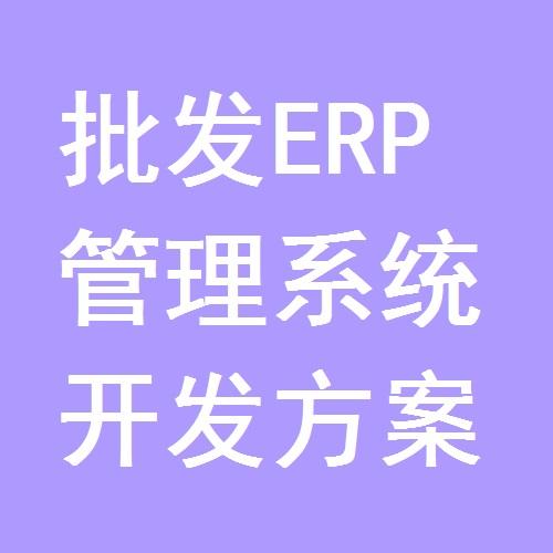 批发ERP管理系统开发方案